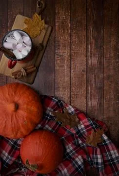 Cocoa with marshmallows are on the table pumpkins and a shirt Stock Photos