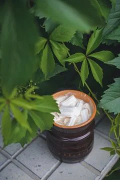 Cocoa with marshmallows Stock Photos