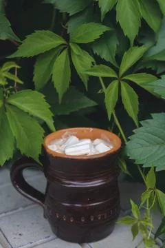 Cocoa with marshmallows Stock Photos