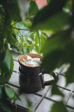 Cocoa with marshmallows Stock Photos