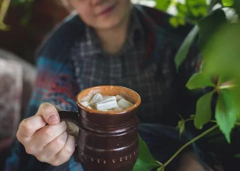 Cocoa with marshmallows Stock Photos