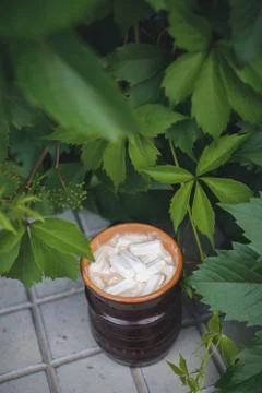 Cocoa with marshmallows Stock Photos
