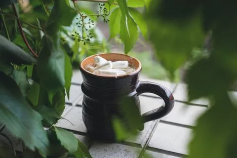 Cocoa with marshmallows Stock Photos