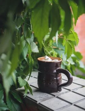 Cocoa with marshmallows Stock Photos