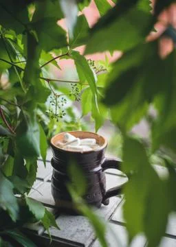 Cocoa with marshmallows Stock Photos