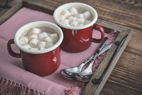 Cocoa with marshmallows Stock Photos