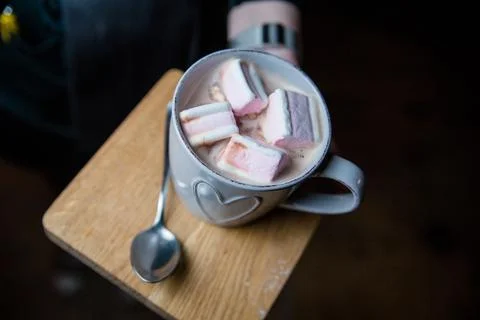 Cocoa with marshmallows. Serving cocoa in a cafe Stock Photos