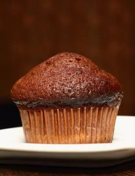 Cocoa muffin 库存照片