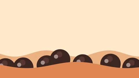 Cocoa Pearls Stock Footage 335608867