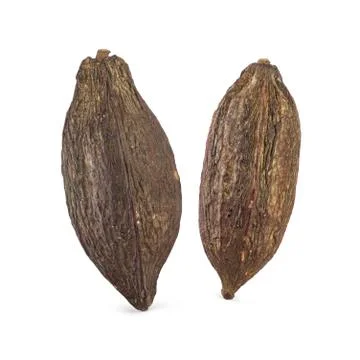 Cocoa Stock Photos