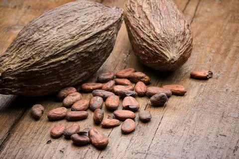 Cocoa Stock Photos