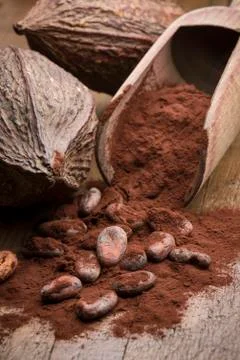 Cocoa Stock Photos