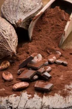 Cocoa Stock Photos