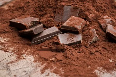 Cocoa Stock Photos