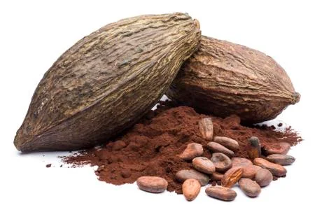 Cocoa Stock Photos