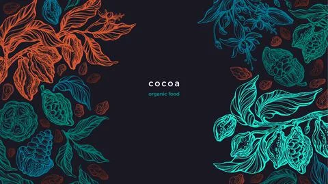 Cocoa plant Vector graphic background Aroma butter Stock Illustration