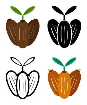 Cocoa Pod Element and Illustrations, Vector Design Stock Illustration
