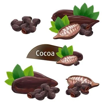 Cocoa pod in nutshell with leaves set Stock Illustration