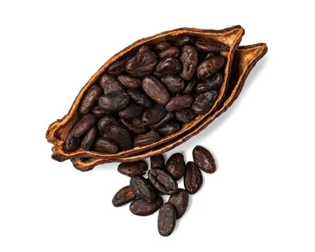 Cocoa pod Foto stock