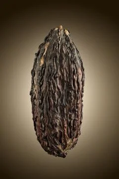 Cocoa pod Stock Photos