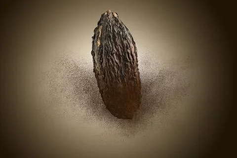Cocoa pod Stock Photos
