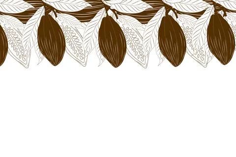 Cocoa Pod Seamless Border. Stock Illustration