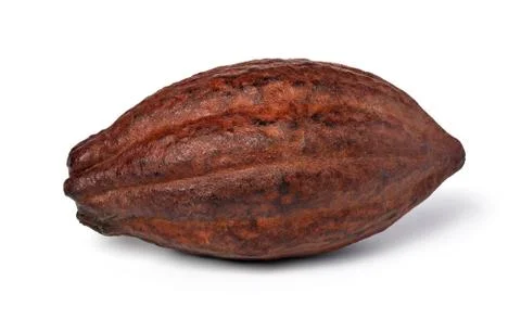 Cocoa pod on a white background Stock Photos