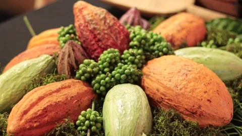 Cocoa pods in a circle 스톡 동영상 347487387
