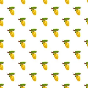 Cocoa pods pattern on white background Illustrazione stock