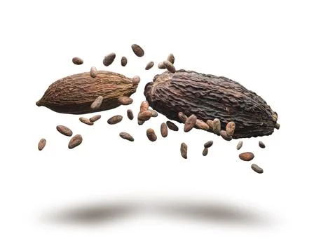 Cocoa pods Stock Photos