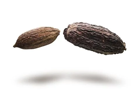 Cocoa pods Stock Photos