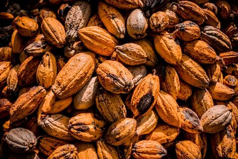 Cocoa pot Stock Photos