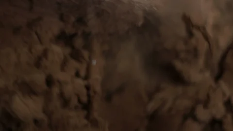 Cocoa powder in a blender. Stock Footage 89499891