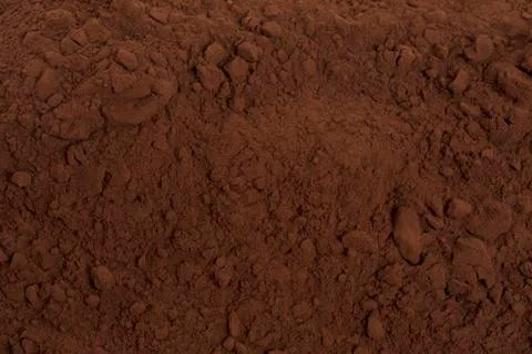 Cocoa powder Фото