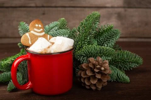 Cocoa red mug with cookie 库存照片