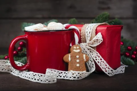 Cocoa red mug with marshmallows Stock Photos
