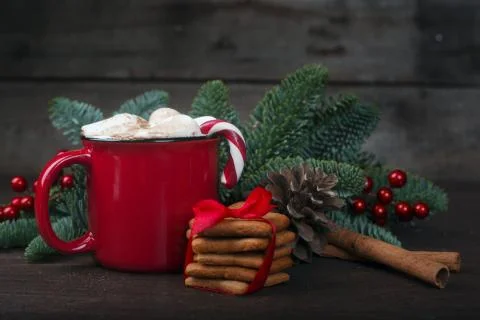 Cocoa red mug with marshmallows 스톡 사진