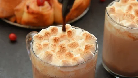 Cocoa with roasted marshmallows and spices Stock Footage 70436571