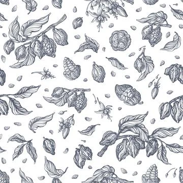 Cocoa seamless pattern. Vector art provence print Stock Illustration