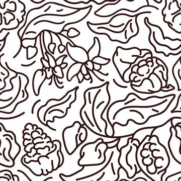Cocoa seamless pattern. Vector nature tree, leaf, sweet bean, flower in bloom 스톡 일러스트