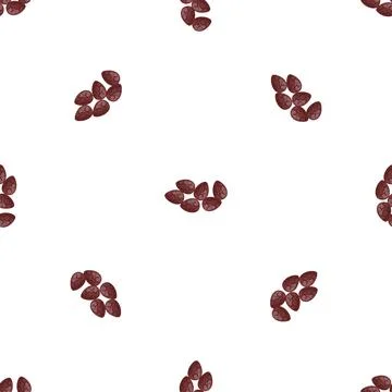 Cocoa seed pattern seamless vector Stock Illustration