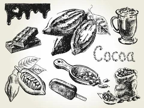 Cocoa set engraving Stock Illustration
