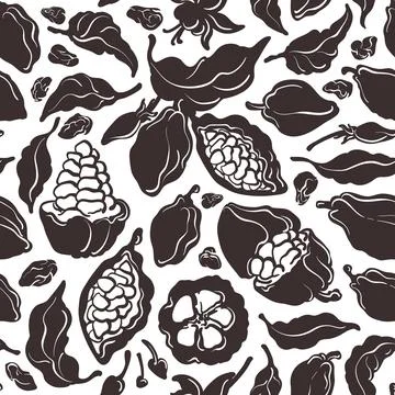 Cocoa set. Vector nature seamless pattern. Cacao tree, leaf, sweet bean, flow Stock Illustration