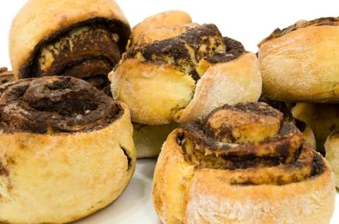 Cocoa Snails Closeup Stock Photos