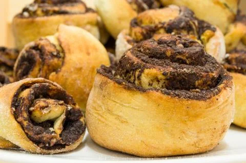 Cocoa Snails Closeup Stock Photos