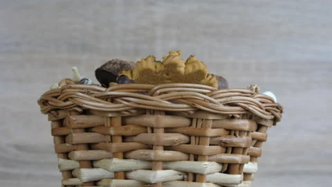 Cocoa, sweets, chocolate, gummies Video stock 233581894