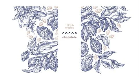 Cocoa template Vector hand drawn tree, bean, fruit Stock Illustration