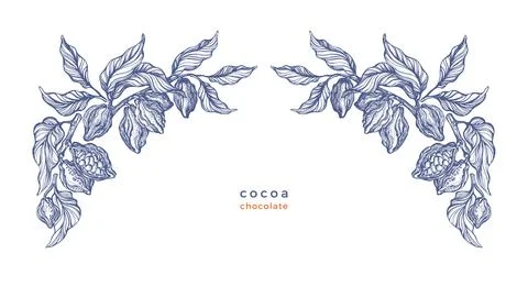 Cocoa texture border. Ornament of fruit, branch Stock Illustration