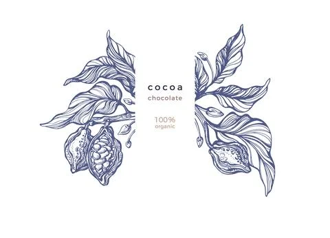 Cocoa texture hand drawn print. Organic chocolate Stock Illustration