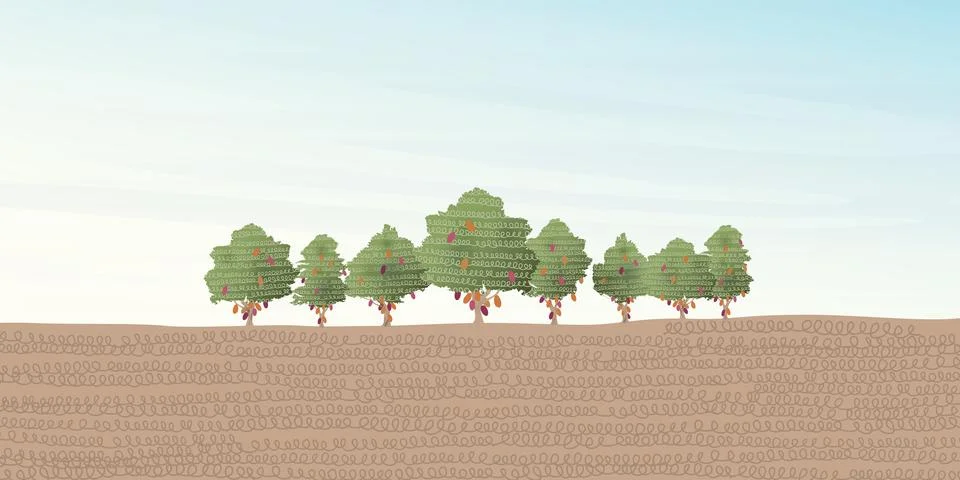 Cocoa tree landscape vector illustration with blank space. Cacao plant chil.. Ilustração Stock